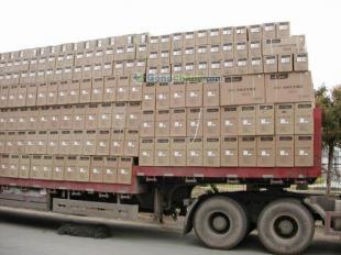 供應(yīng)東莞到桂林行李托運(yùn) 桂林物流搬家搬廠 東莞到桂林貨運(yùn)專線_交通運(yùn)輸_世界工廠網(wǎng)中國產(chǎn)品信息庫